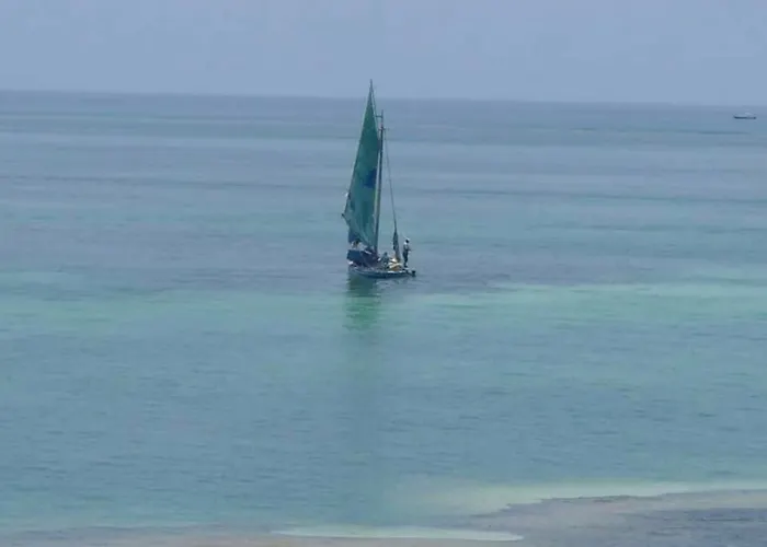 Spindrift & Golf Cart 3*